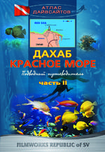 Дахаб. Красное море. Часть 2