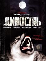 Дикость