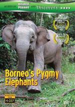 Слоны-пигмеи острова Борнео