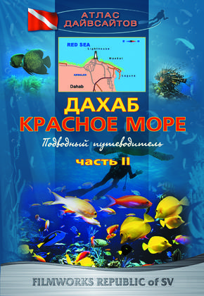 Дахаб. Красное море. Часть 2