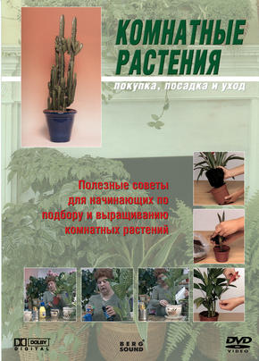 Комнатные растения (покупка, посадка и уход)