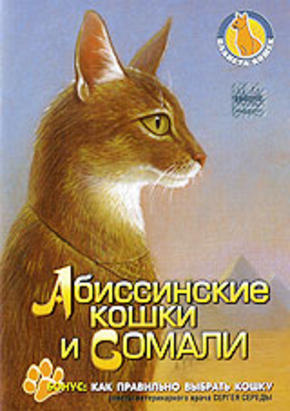 Планета кошек: Абиссинские кошки и Сомали