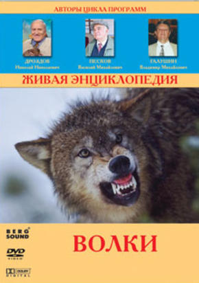 Живая энциклопедия. Волки