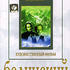 Белинский