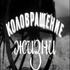 Коловращение жизни