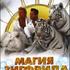 Магия Зигфрида и Роя