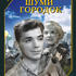 Шуми, городок