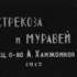 Стрекоза и муравей (м/ф)